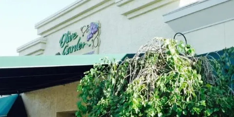 Olive Garden Italian Restaurant