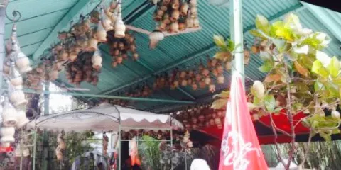 Il Giardino d'Italia