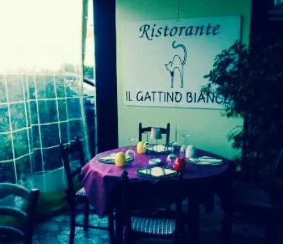 Ristorante Il Gattino Bianco