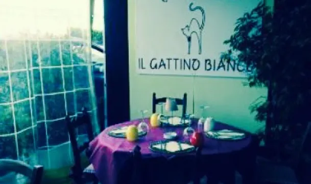 Ristorante Il Gattino Bianco