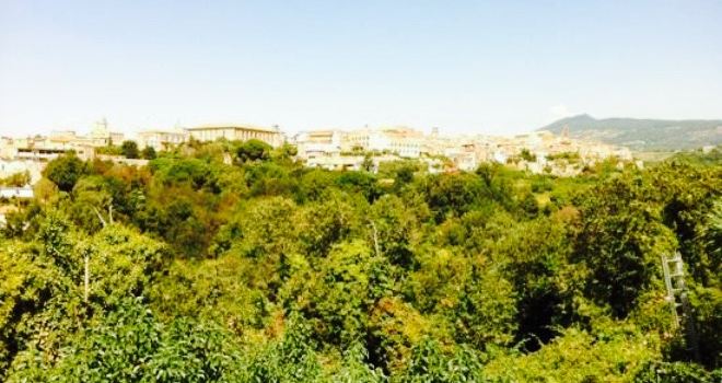 La Vecchia Dogana