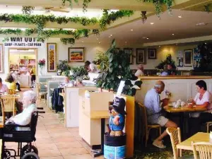 The Restaurant at Sidmouth Garden Centre