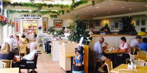 The Restaurant at Sidmouth Garden Centre