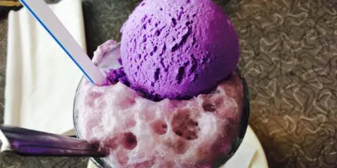 Purple Cow Restaurant