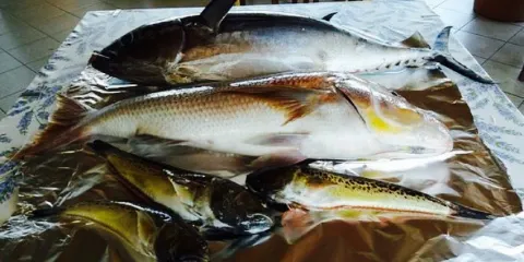 Ittiturismo Da Mamma Rita