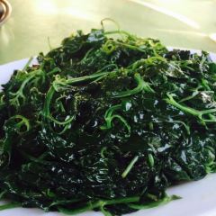 Haishangrenjiapingjiahaixiancheng User Photo