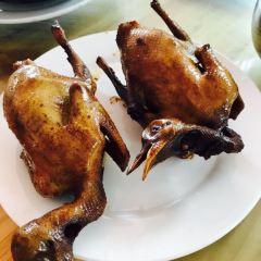 Lumen Farm Family Resort User Photo