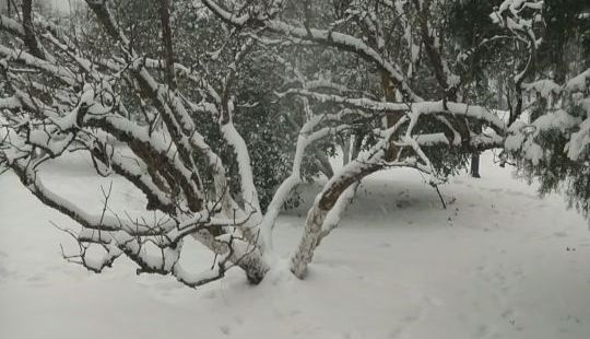 城市中的公园，难道的不错哦，景不错，我来赶上下大雪，景老好了