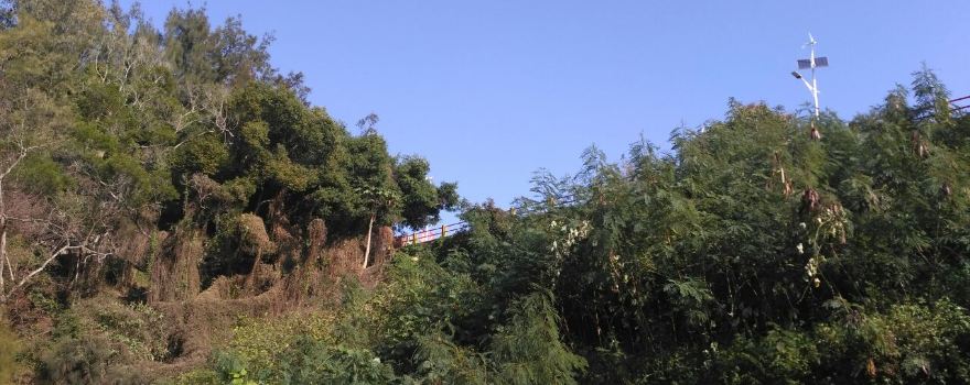 好美寮自然生態保護區