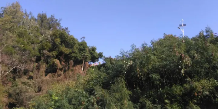 好美寮自然生態保護區