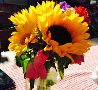 Staerkls Café-Bistro