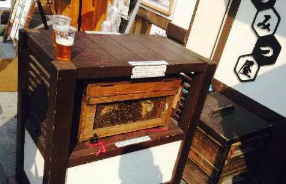 Honey House Matsujironoho Iseoharaimachi