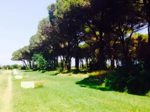 Horse Country Resort Congress & SPA