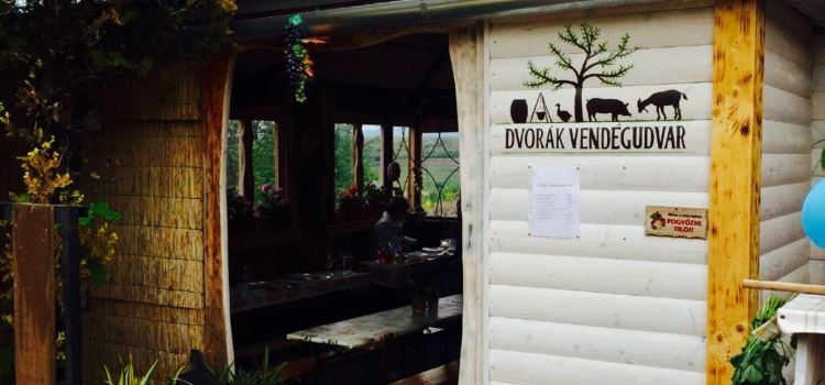 Dvorak Cellar
