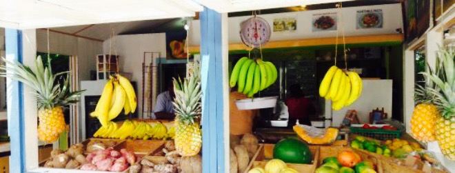Fruity Web