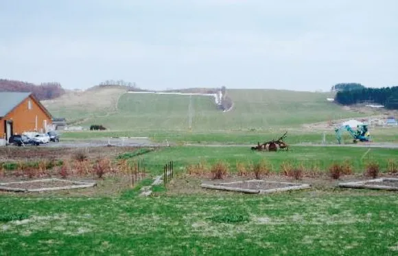 Restaurant Milk Hall