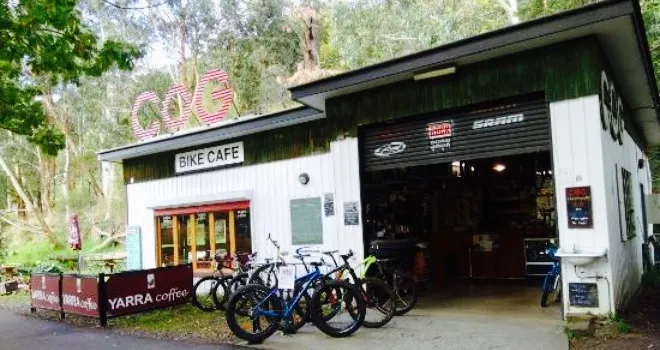 Cog Bike Cafe