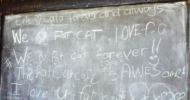 Fat Cat