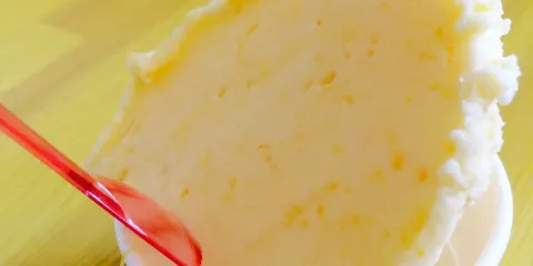 Gelateria Fruits Laboratory