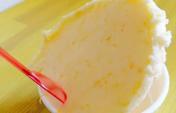 Gelateria Fruits Laboratory