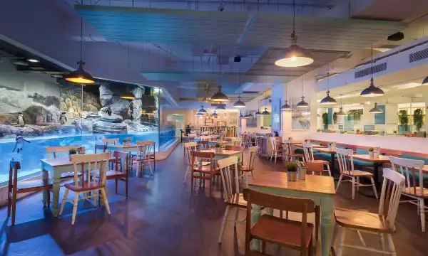 鄰近雅加達多媒體水族館的酒店