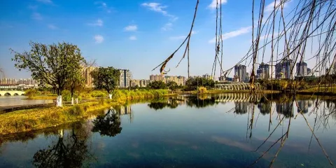 東坡城市濕地公園