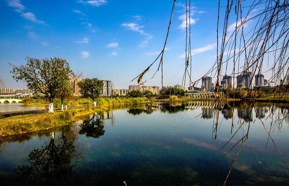 Dongpo Urban Wetland Park