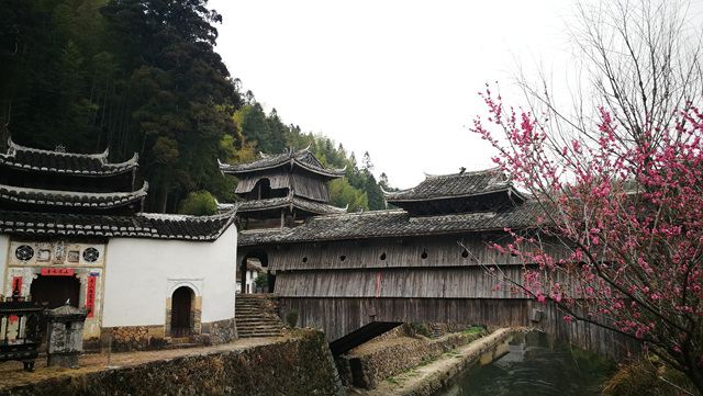 月山村
