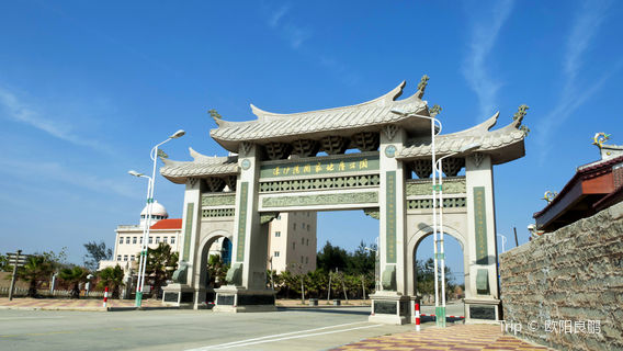 พื้นที่อนุรักษ์ธรรมชาติซากปรักหักพังของป่าโบราณใต้ทะเลอ่าวเซินเจิ้น