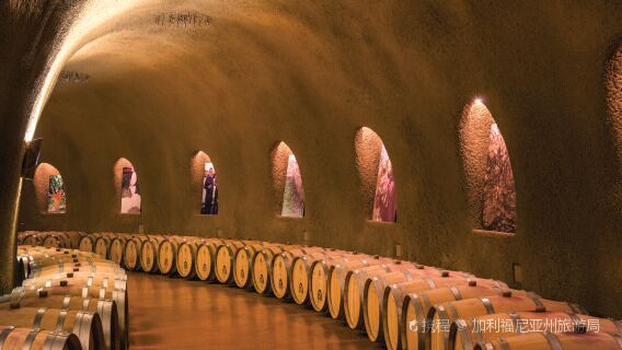 tour di un giorno alle cantine di Napa e Sonoma [piccolo gruppo esclusivo di 12 persone]