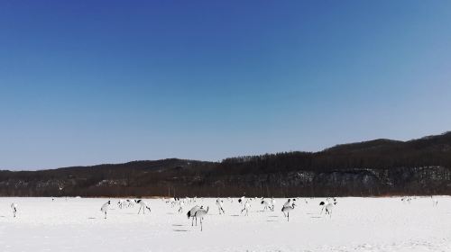 Akan International Crane Center