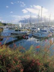 Abel Point Marina