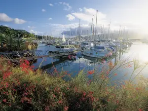 Abel Point Marina