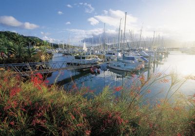 Abel Point Marina