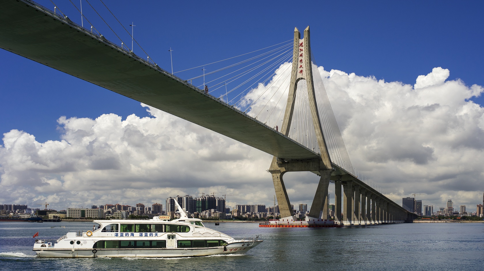 湛江紅嘴鷗遊船