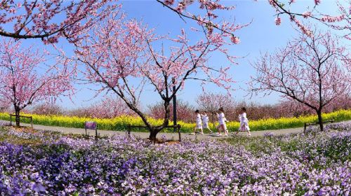 三台山森林公園