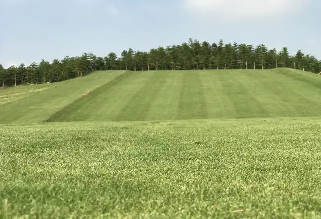 Grass Skiing in Zhongshan