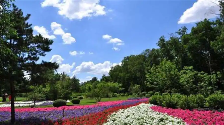Hotel in zona Heilongjiang Forest Park