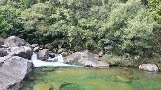 沁园春-武夷 文/忻嘉南登武夷，以观林海高峡竦峙，溪流成瀑古