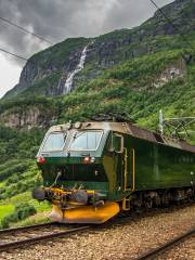 Ligne de Flåm