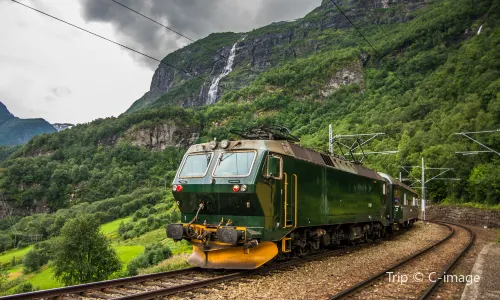 Flam Train