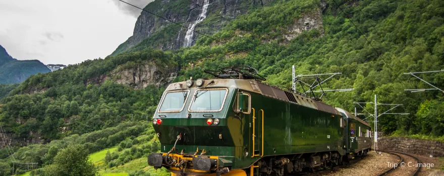 Flam Train
