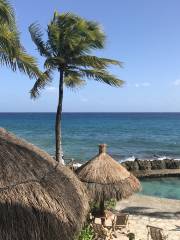 Oficinas Xcaret Xel Ha Explore