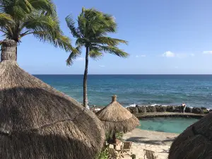 โอซินินาส Xcaret Xel Ha Explorer