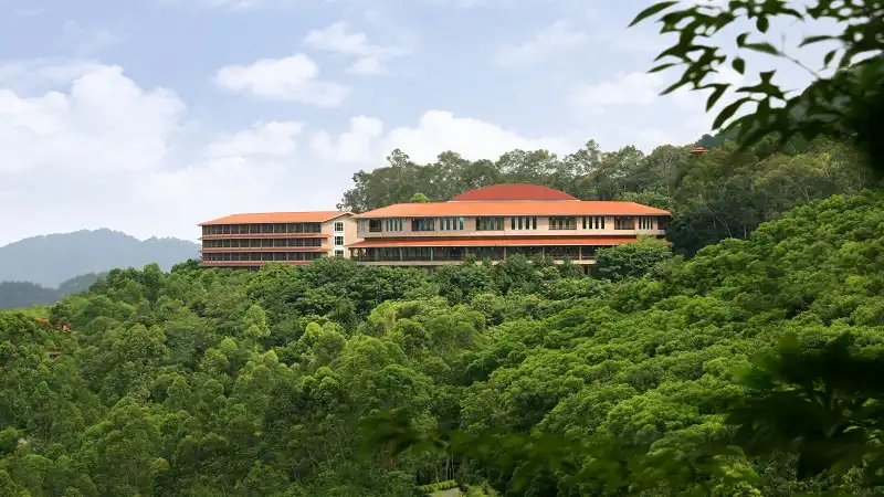 5_Yearning Tea Plantation Tourist Attraction