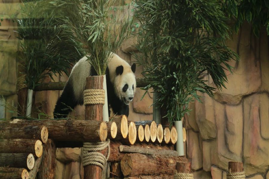 泉州海絲野生動物世界