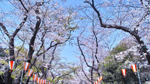 Ueno Park