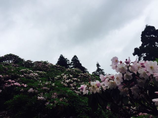 화딩 국가산림공원