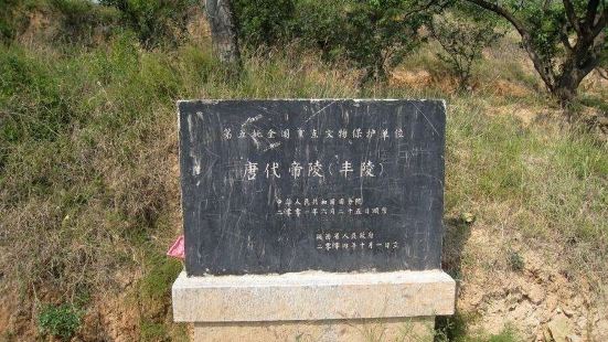 唐豐陵是唐順宗李誦與庄憲皇后的合葬陵，位於今陝西富平縣城東北