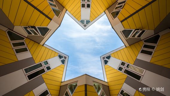 Tagesausflug nach Rotterdam, Delft und Den Haag in den Niederlanden inklusive Ticket für die Sehenswürdigkeit und englischsprachiger Reisebusgruppe